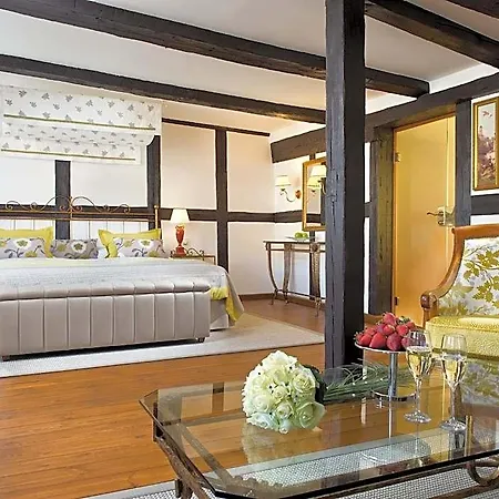 A-rosa Gothisches Haus 4*
